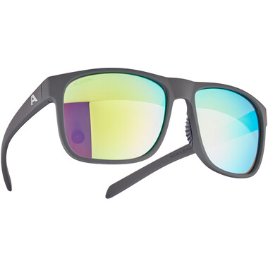 ALPINA NACAN III Sunglasses Grey 2023 0